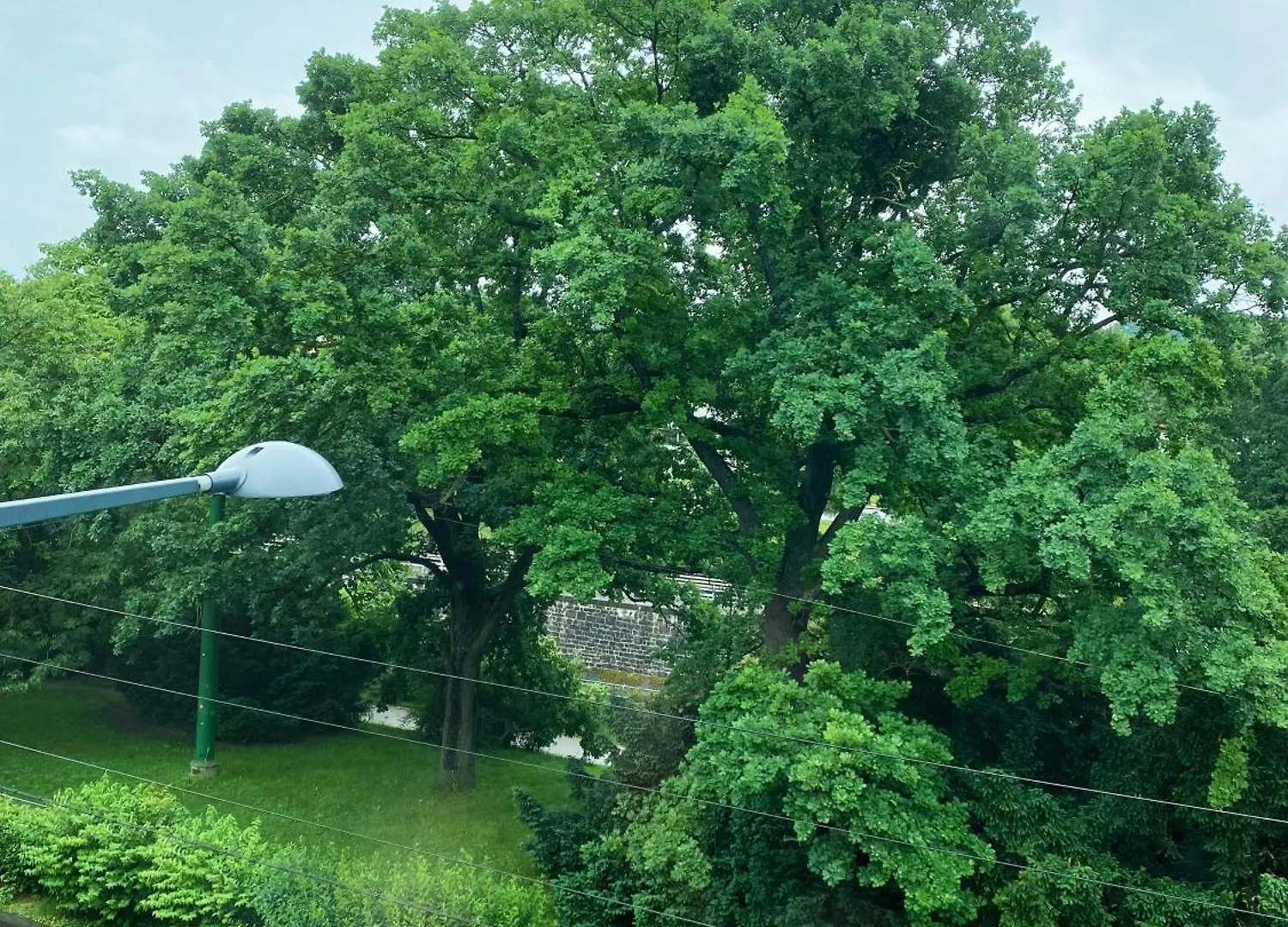 Royal Retreat Hostel - Steps From Schoenbrunn Palace!! Vienna