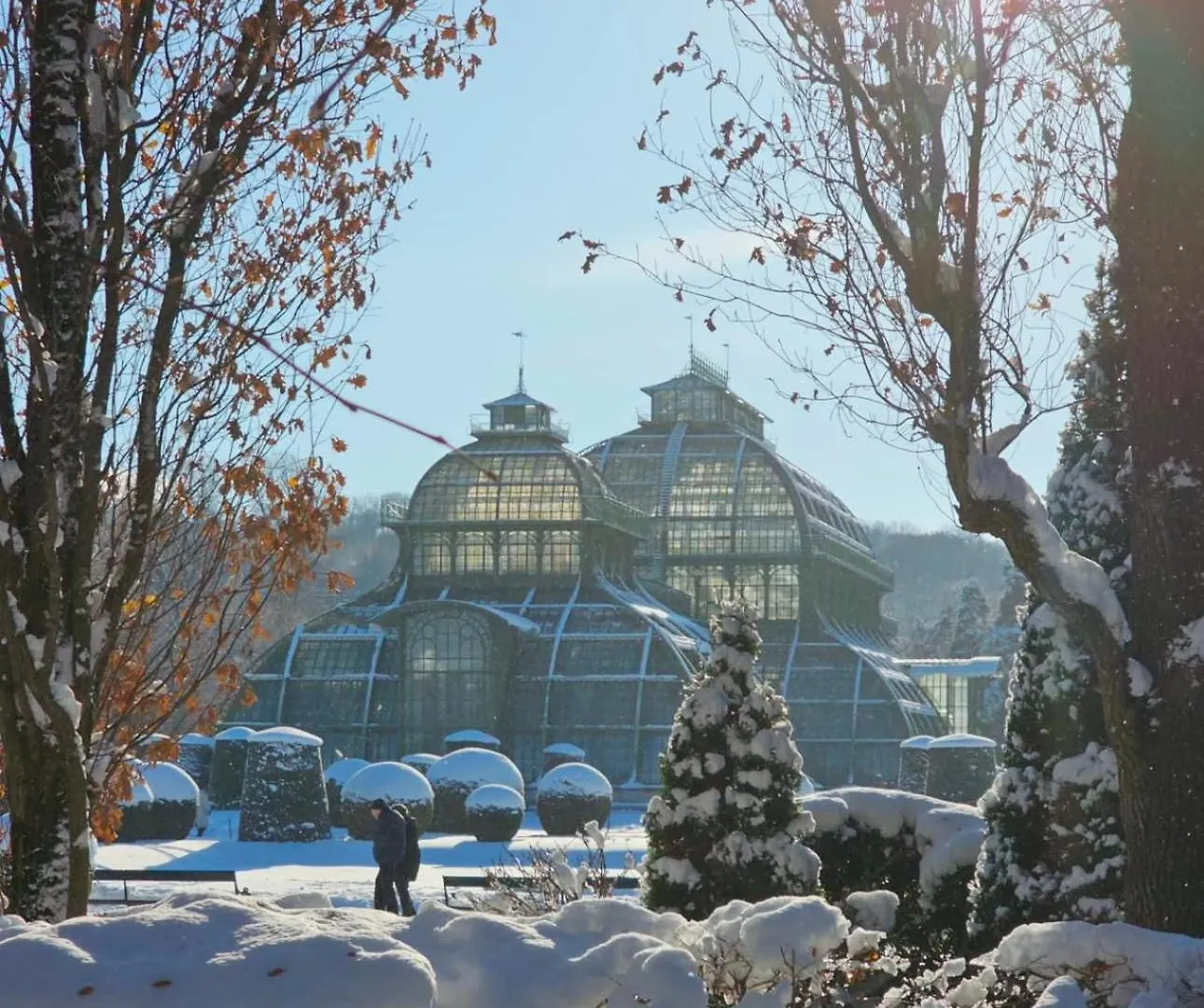 Royal Retreat Hostel - Steps From Schoenbrunn Palace!! 维也纳